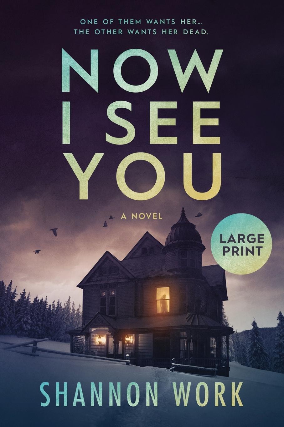 Cover: 9781735435329 | Now I See You | Large Print | Shannon Work | Taschenbuch | Paperback