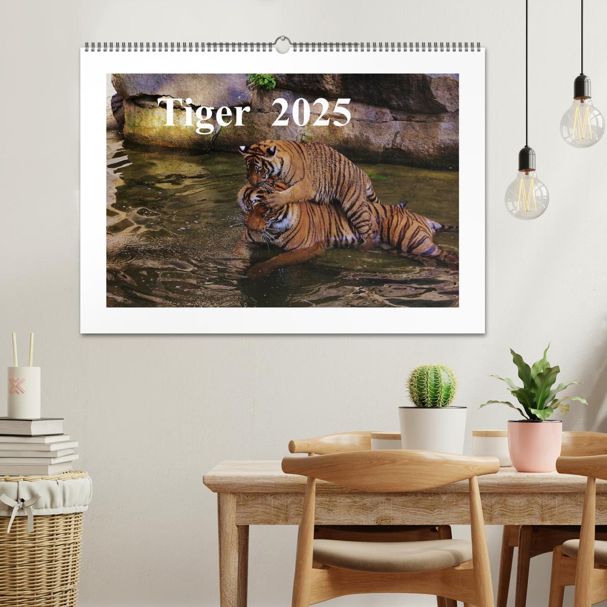 Bild: 9783435754298 | Tiger 2025 (Wandkalender 2025 DIN A2 quer), CALVENDO Monatskalender