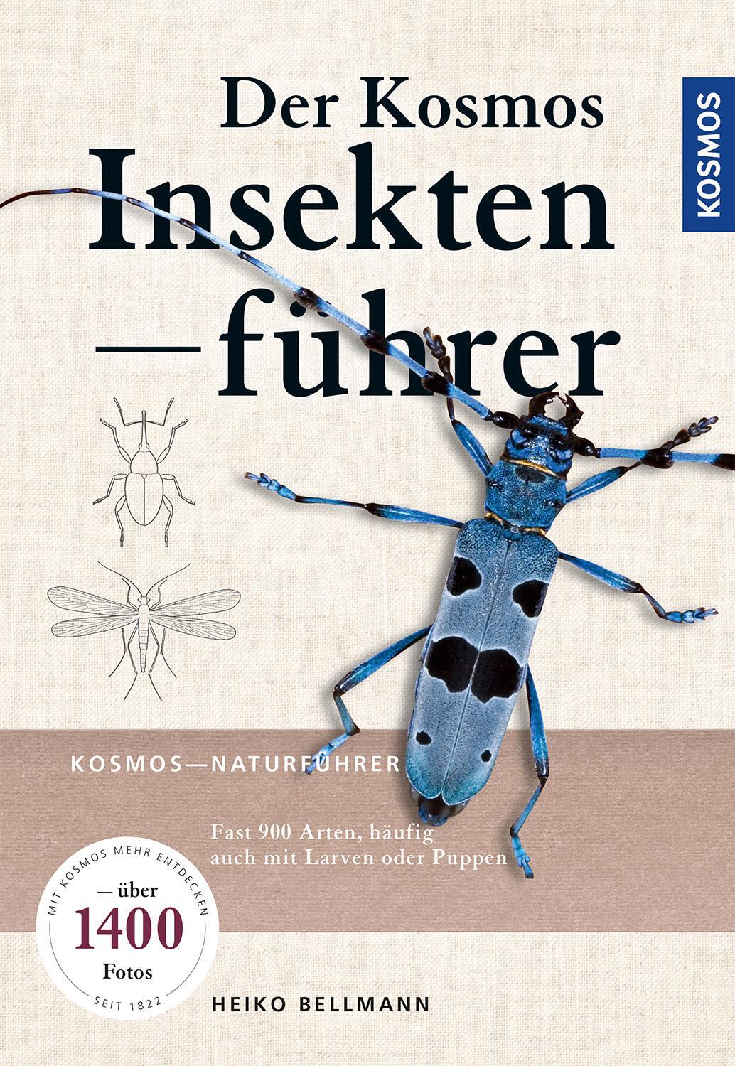 Cover: 9783440155288 | Der KOSMOS Insektenführer | Heiko Bellmann | Taschenbuch | 456 S.