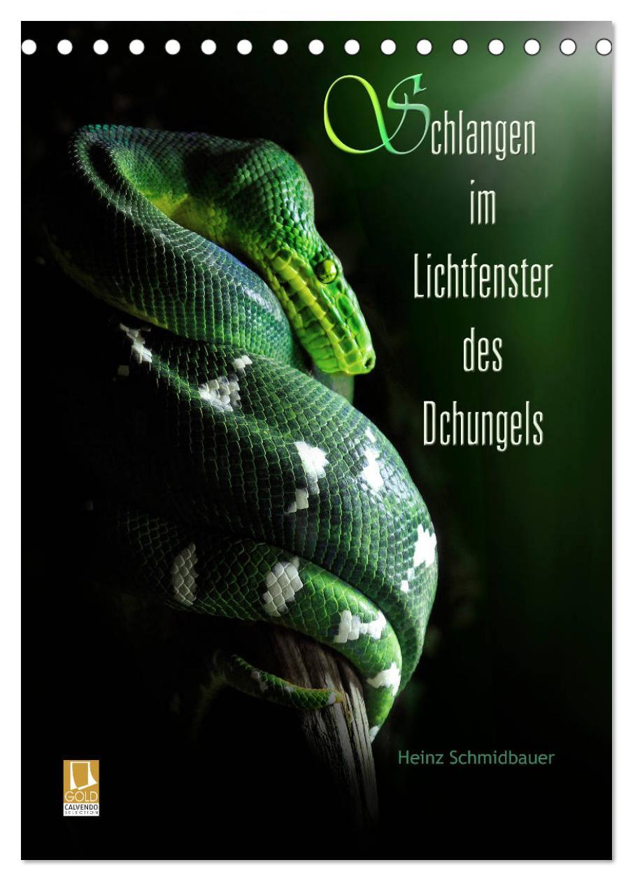 Cover: 9783457035986 | Schlangen im Lichtfenster des Dschungels (Tischkalender 2025 DIN A5...