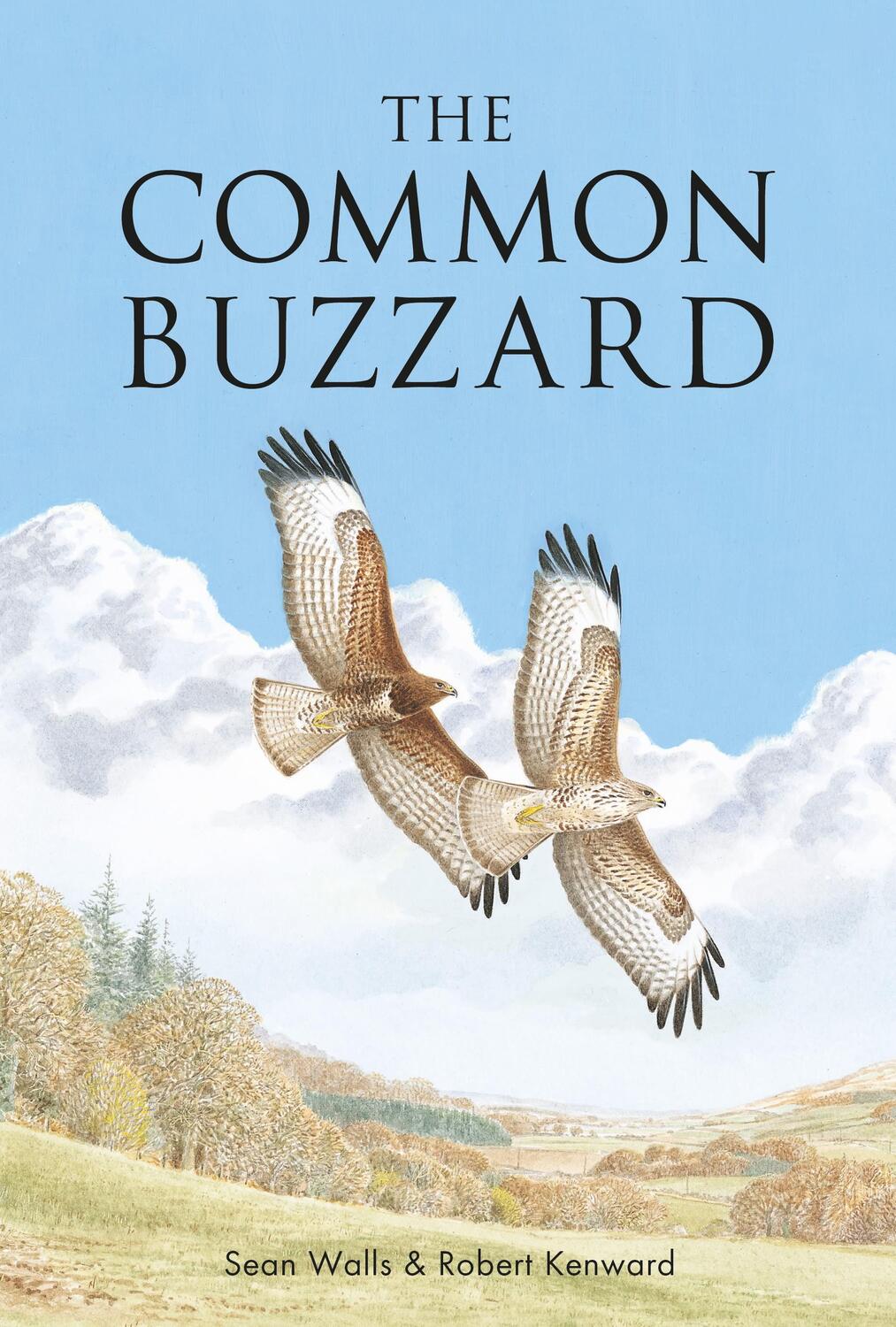 Cover: 9781472972088 | The Common Buzzard | Sean Walls (u. a.) | Taschenbuch | Englisch