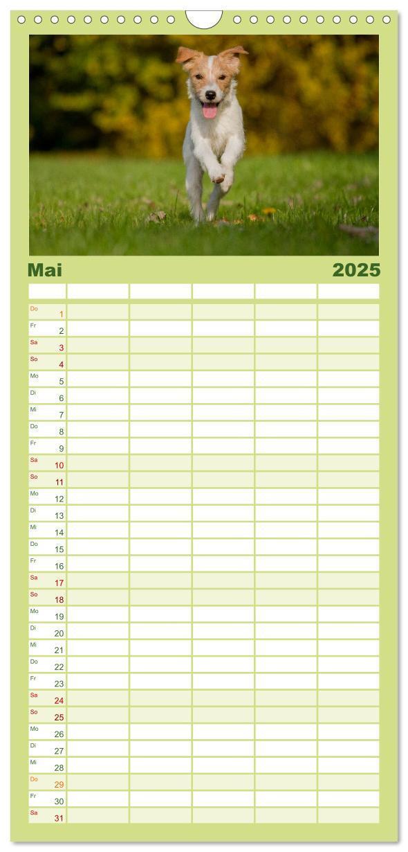 Bild: 9783457120217 | Familienplaner 2025 - Faszination Hund mit 5 Spalten (Wandkalender,...