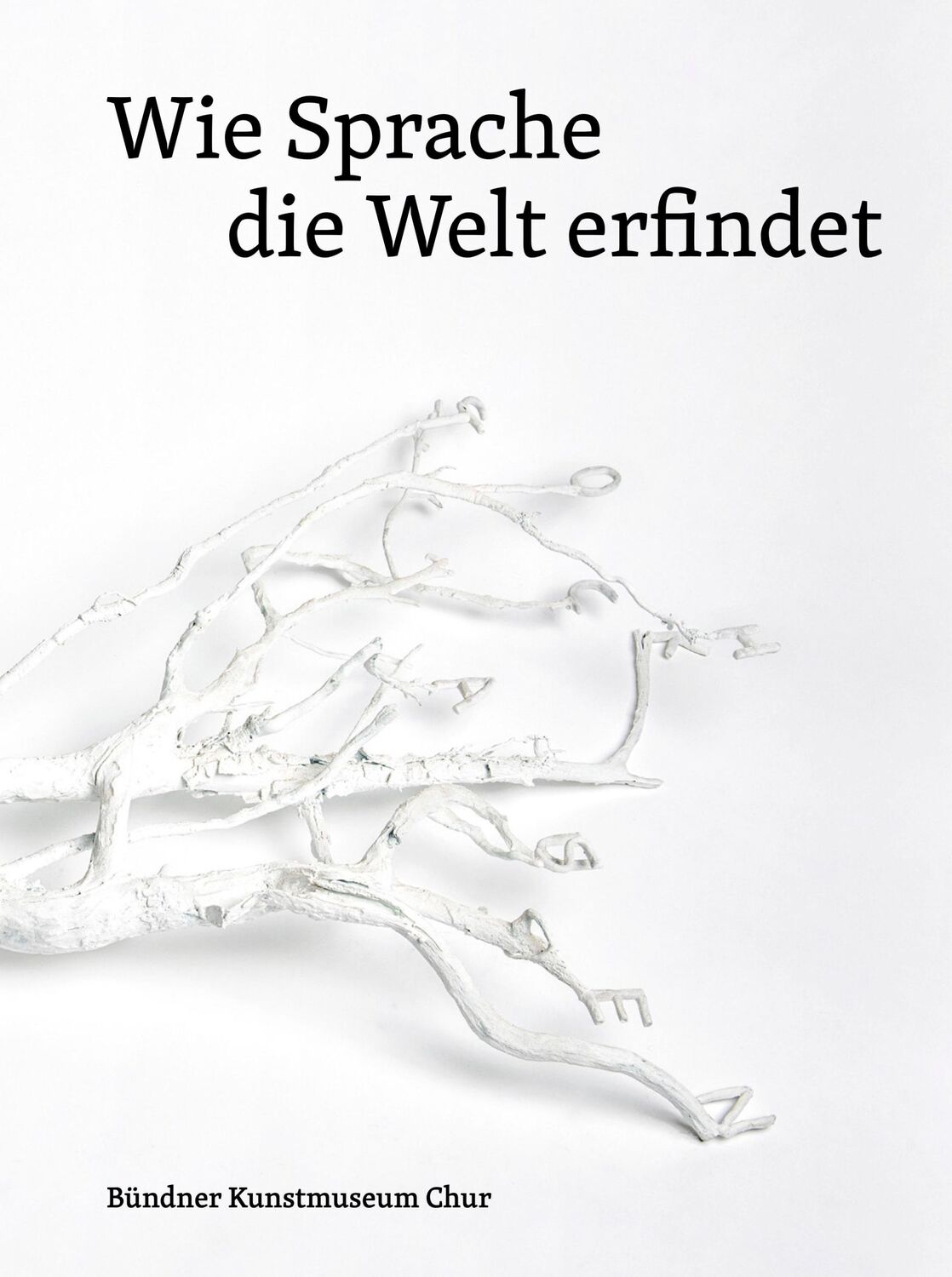 Cover: 9783954766314 | Wie Sprache die Welt erfindet | Damian Jurt | Buch | 288 S. | Deutsch