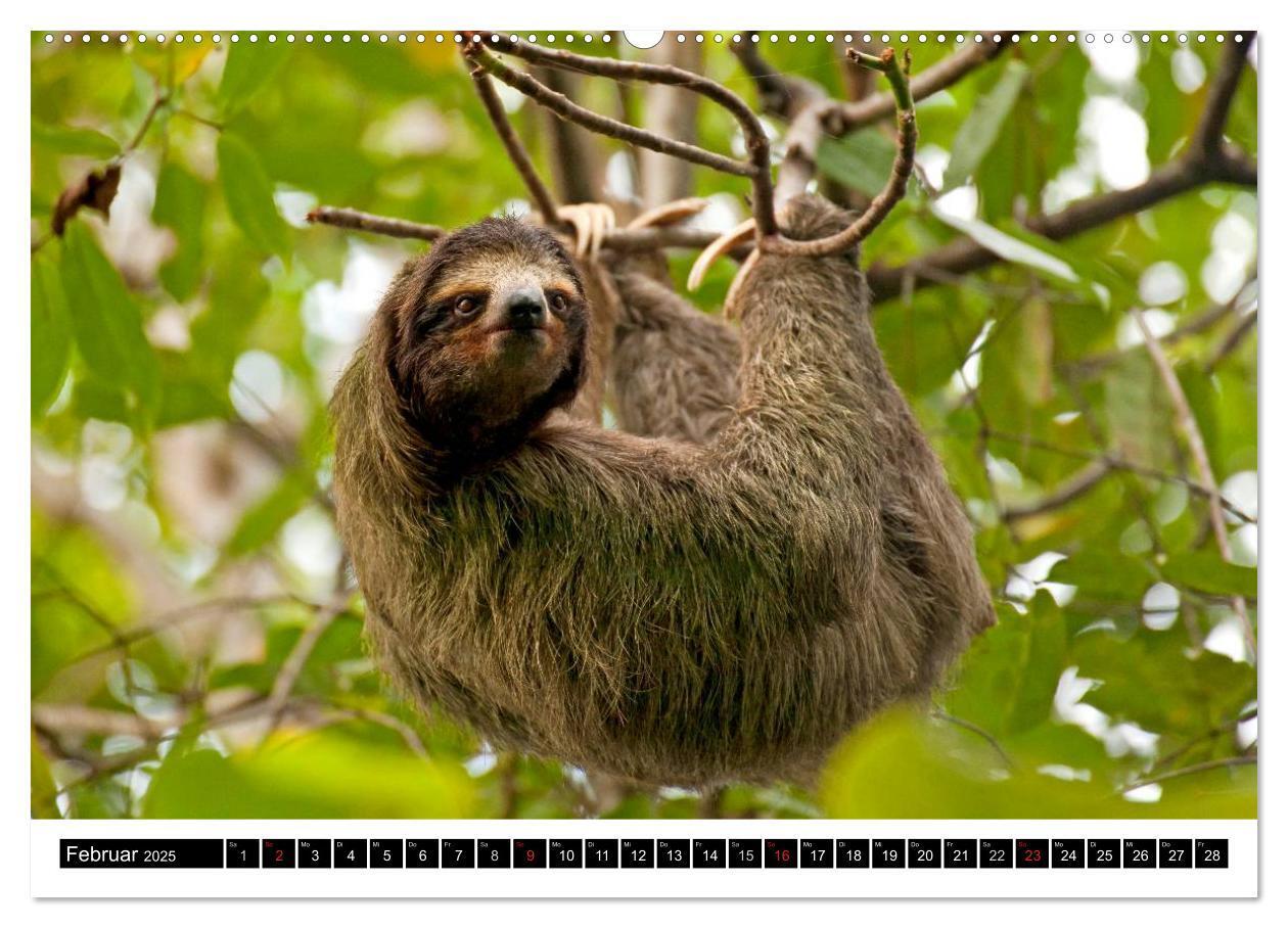 Bild: 9783435818549 | Costa Rica (Wandkalender 2025 DIN A2 quer), CALVENDO Monatskalender