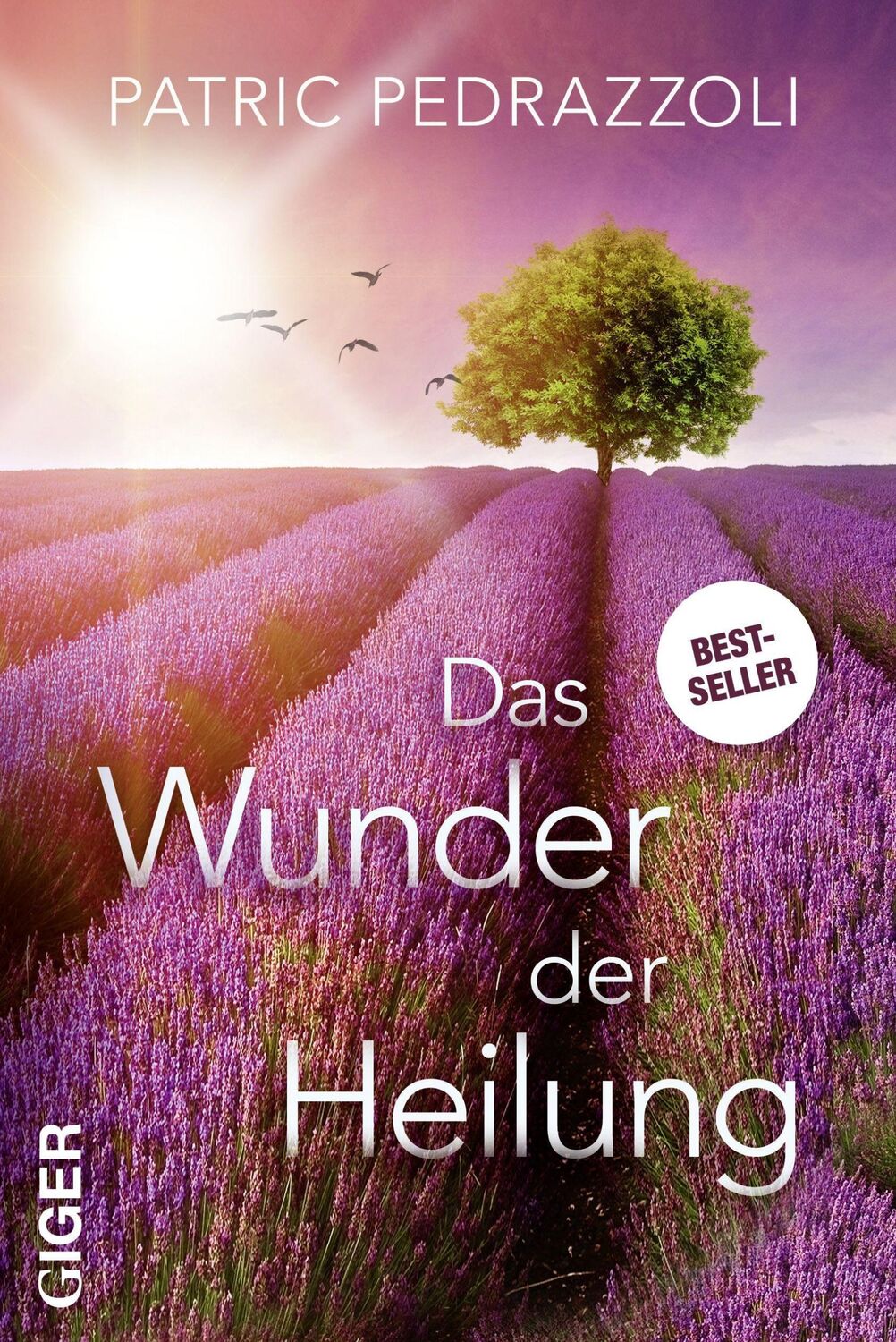 Cover: 9783906872049 | Das Wunder der Heilung | Patric Pedrazzoli | Taschenbuch | 208 S.