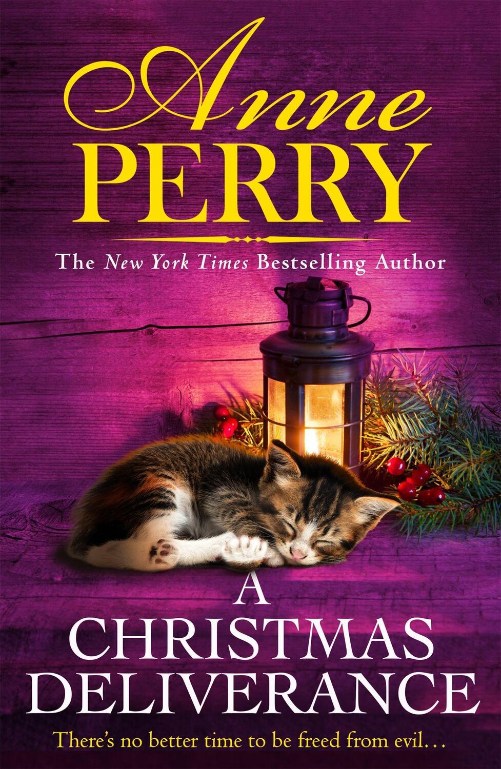 Cover: 9781472294487 | A Christmas Deliverance | Christmas Novella 20 | Anne Perry | Buch