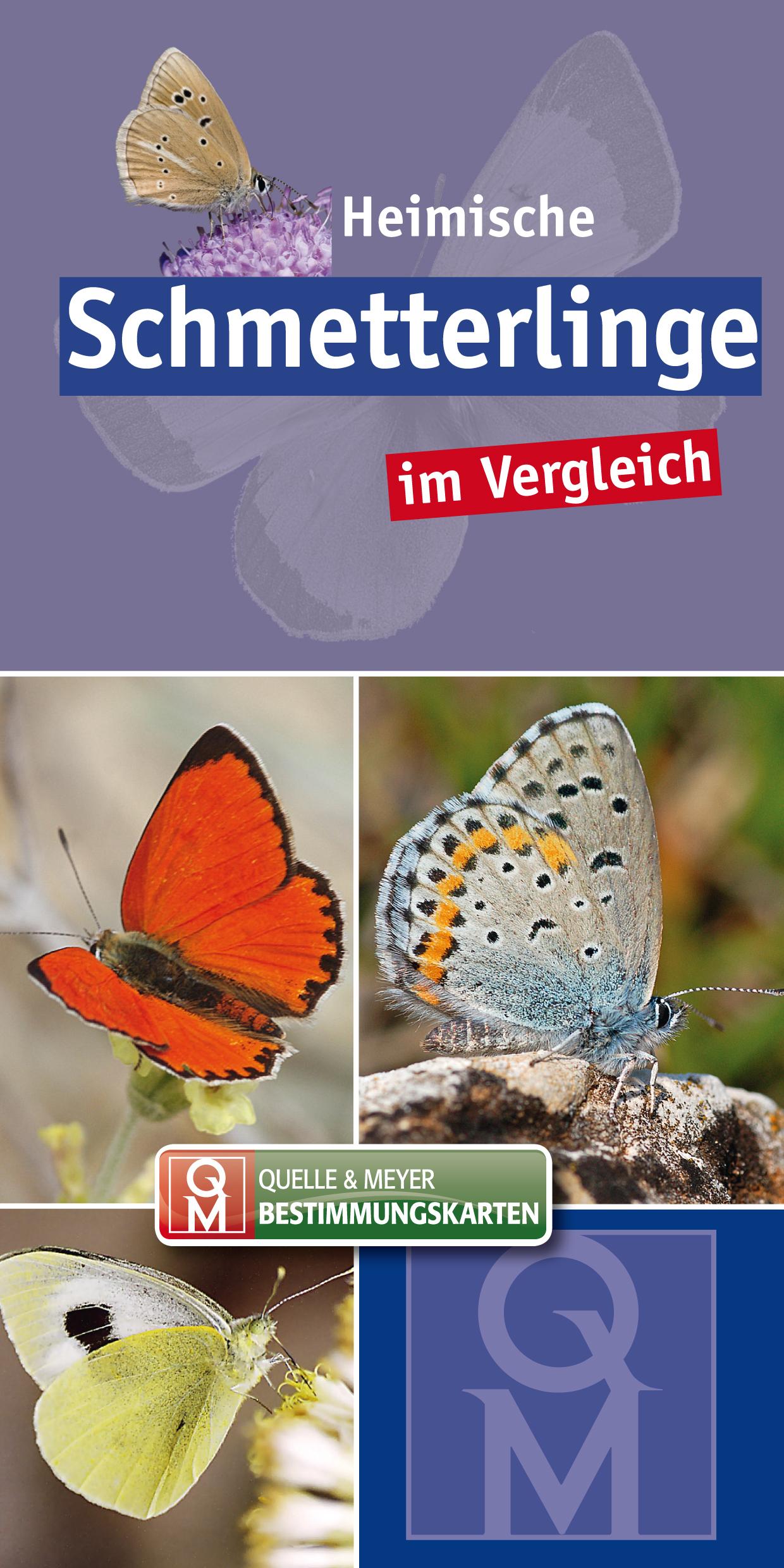 Cover: 9783494018096 | Heimische Schmetterlinge | im Vergleich | Quelle &amp; Meyer Verlag | Box