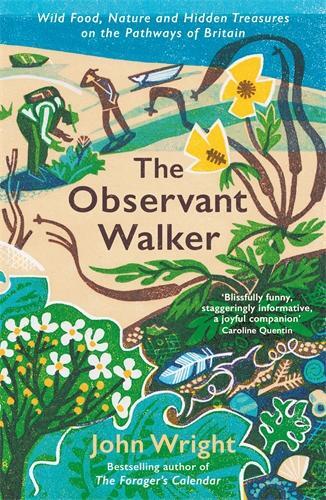 Cover: 9781788166881 | The Observant Walker | John Wright | Taschenbuch | Englisch | 2024