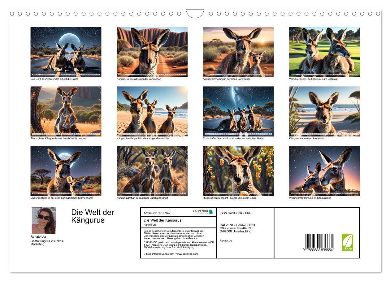 Bild: 9783383836664 | Die Welt der Kängurus (Wandkalender 2025 DIN A3 quer), CALVENDO...