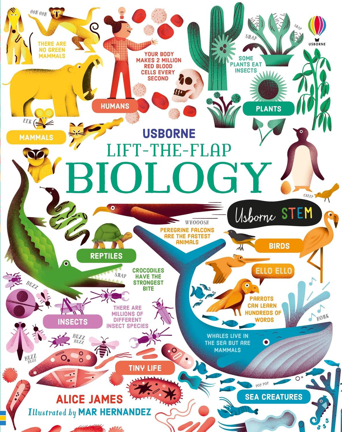 Cover: 9781474969154 | Lift-the-Flap Biology | Alice James | Buch | Papp-Bilderbuch | 2020
