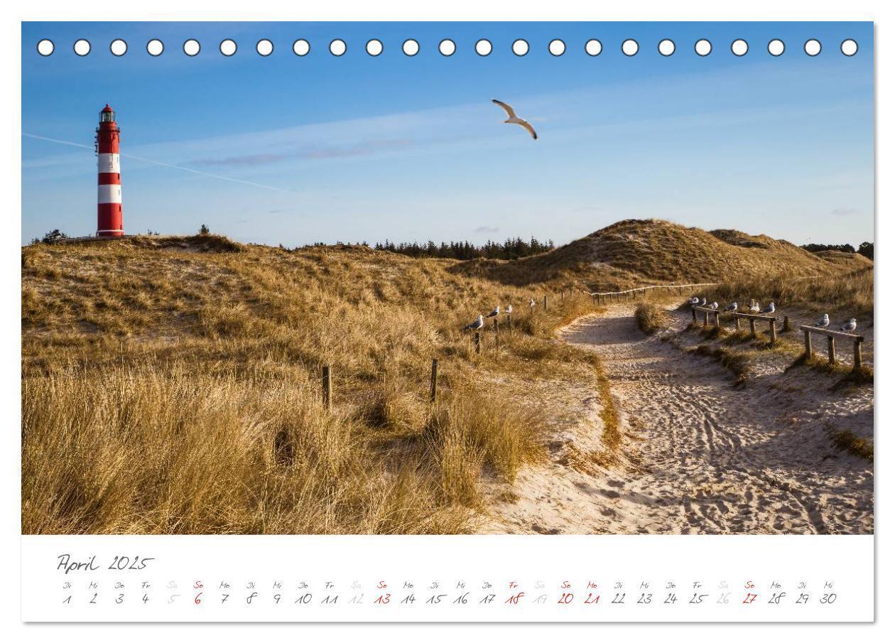 Bild: 9783435600427 | Amrum - Eine farbenfrohe Insellandschaft (Tischkalender 2025 DIN A5...