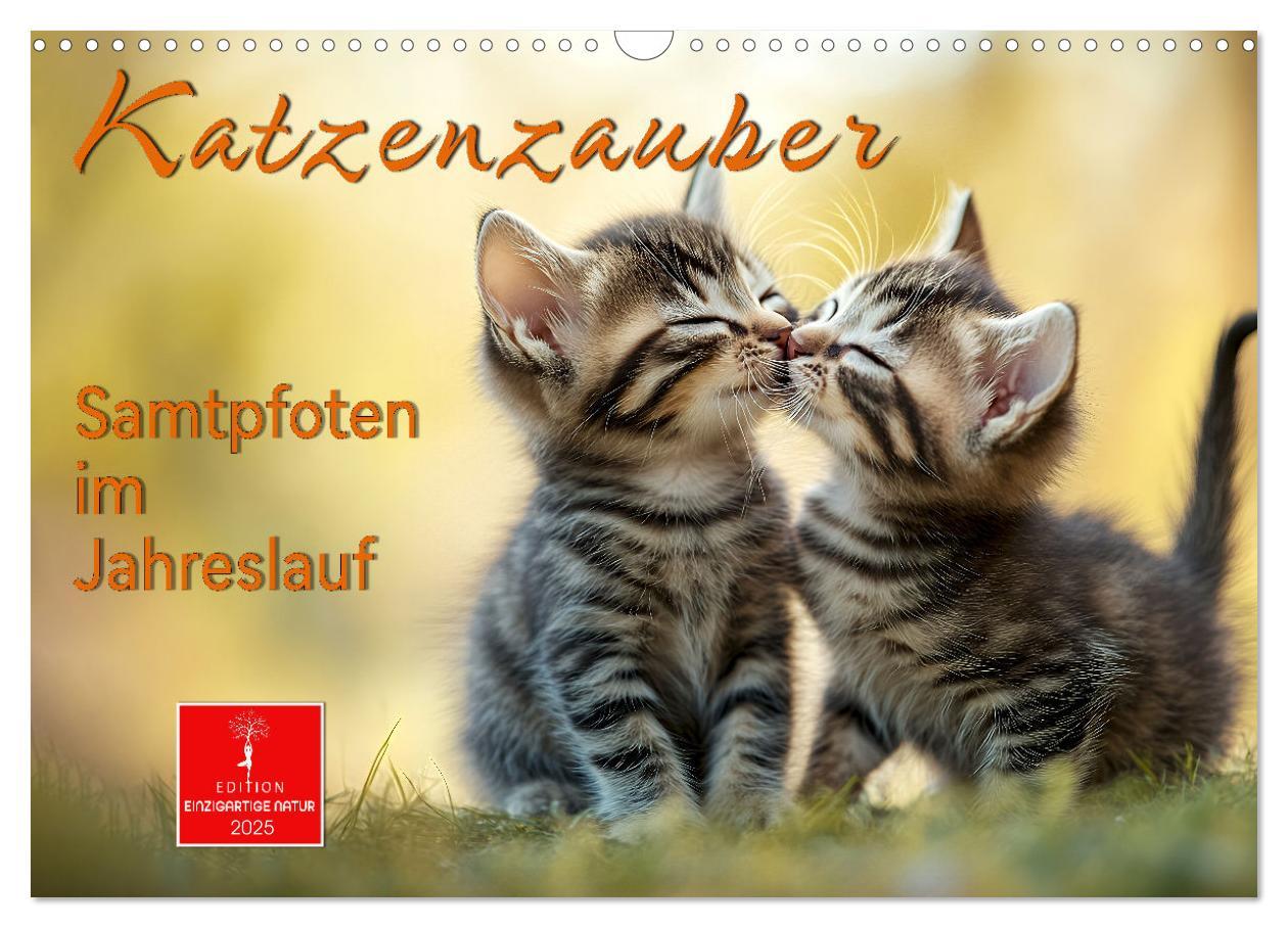 Cover: 9783457218280 | Katzenzauber - Samtpfoten im Jahreslauf (Wandkalender 2025 DIN A3...