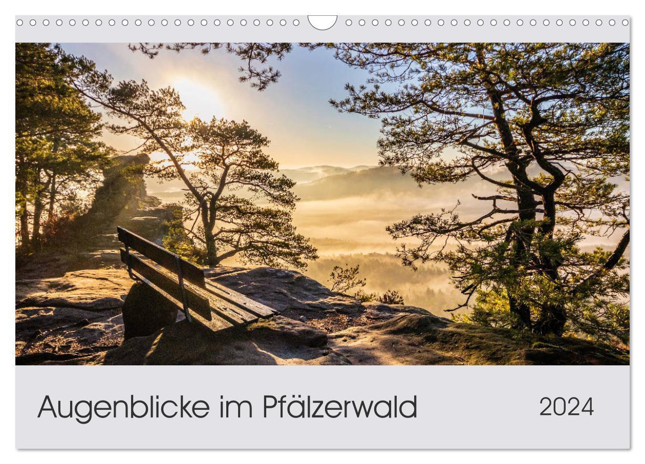 Cover: 9783675878518 | Augenblicke im Pfälzerwald (Wandkalender 2024 DIN A3 quer),...