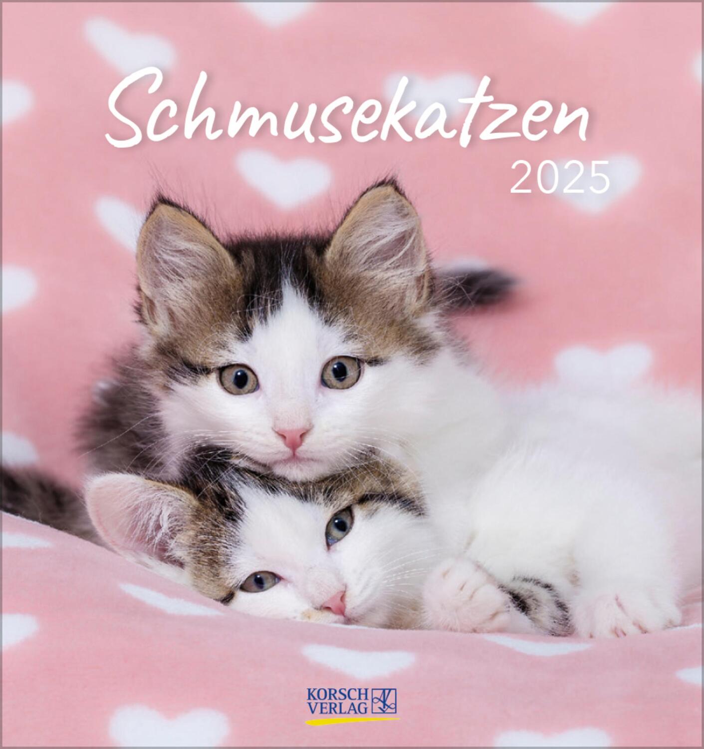 Cover: 9783731876724 | Schmusekatzen 2025 | aufstellbarer Postkartenkalender | Verlag Korsch