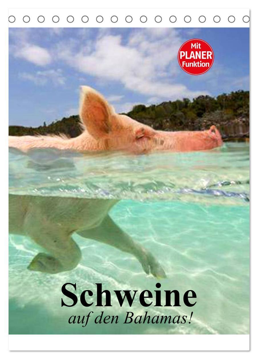 Cover: 9783675582408 | Schweine auf den Bahamas! (Tischkalender 2024 DIN A5 hoch),...