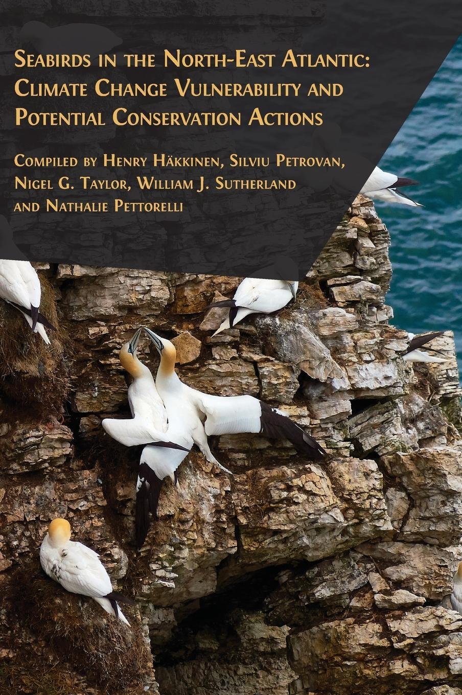 Cover: 9781805110125 | Seabirds in the North-East Atlantic | Nigel G. Taylor | Buch | 2023