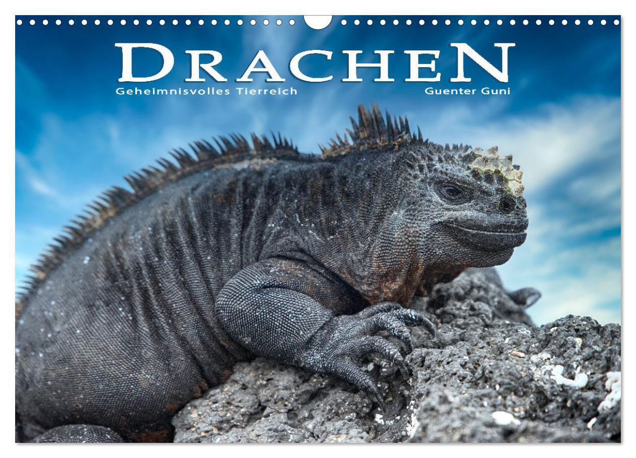 Cover: 9783675652217 | Drachen: Geheimnisvolles Tierreich (Wandkalender 2024 DIN A3 quer),...