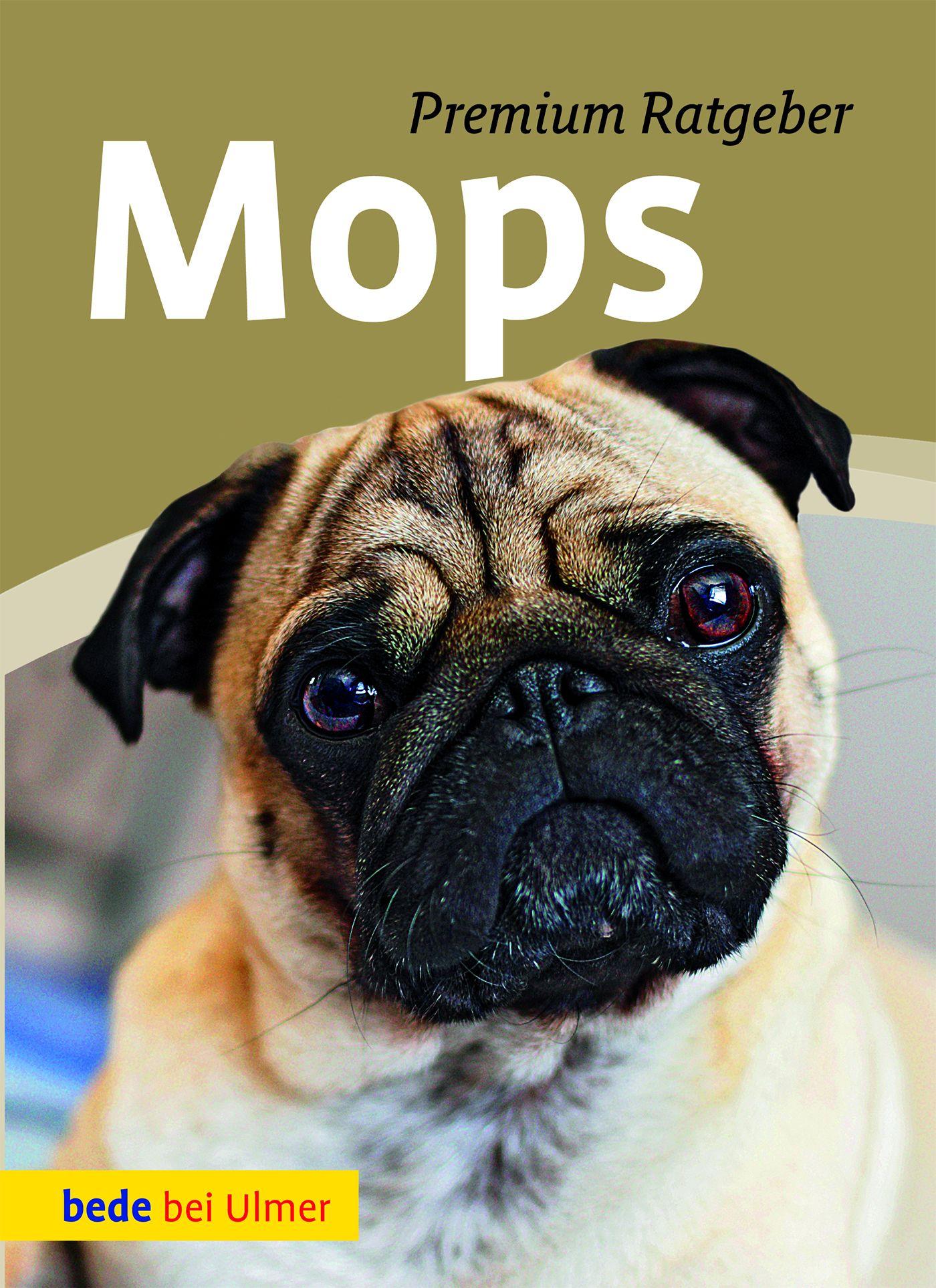 Cover: 9783800179725 | Mops | Annette Schmitt (u. a.) | Buch | bede bei Ulmer | 126 S. | 2014