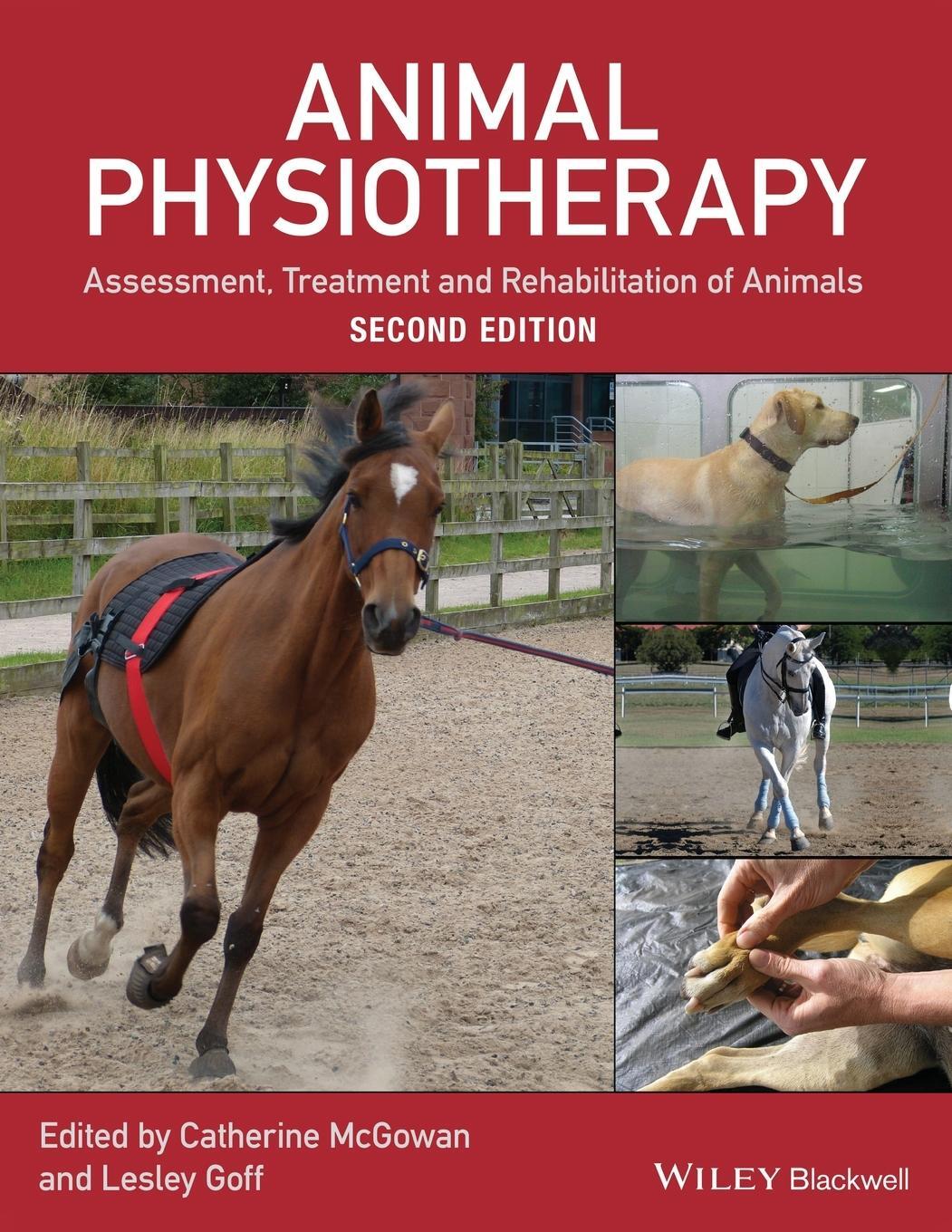 Cover: 9781118852323 | Animal Physiotherapy | C McGowan | Taschenbuch | 376 S. | Englisch