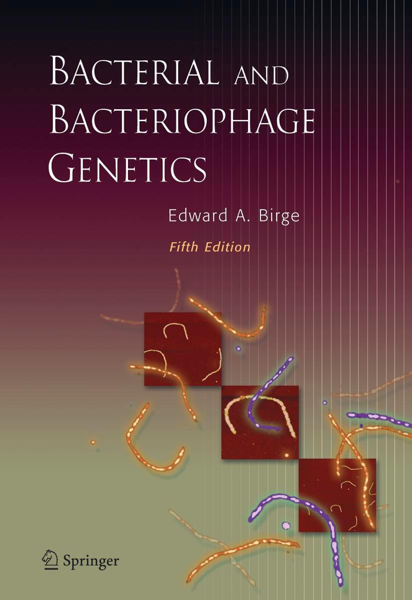 Cover: 9780387239194 | Bacterial and Bacteriophage Genetics | Edward A Birge | Buch | XX