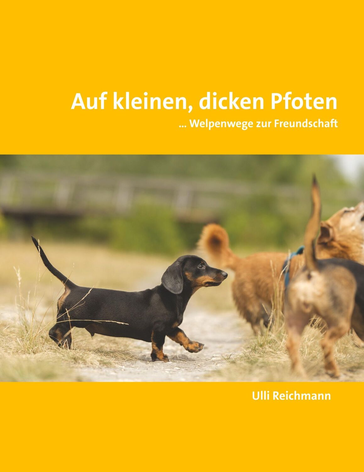 Cover: 9783743140417 | Auf kleinen, dicken Pfoten | ... Welpenwege zur Freundschaft | Buch