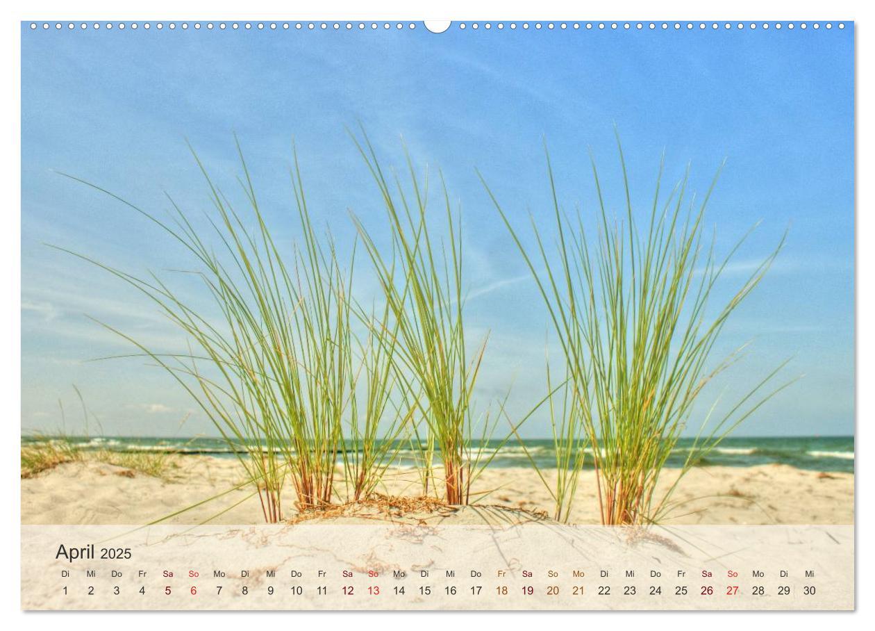 Bild: 9783435502523 | Insel Rügen und Hiddensee (Wandkalender 2025 DIN A2 quer), CALVENDO...