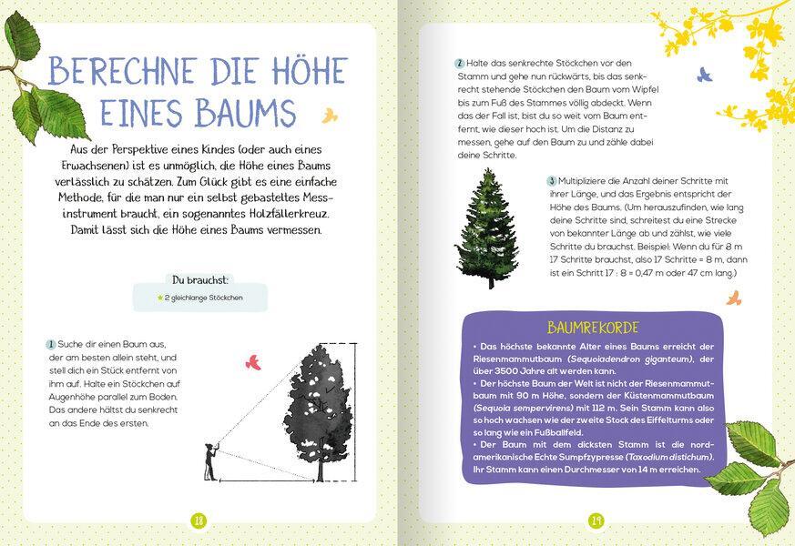 Bild: 9783741524653 | Mein Naturführer - Bäume | Erkennen · Erforschen · Verstehen | Japiot