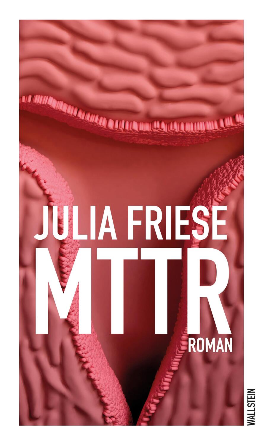 Cover: 9783835352575 | MTTR | Roman | Julia Friese | Buch | 421 S. | Deutsch | 2022