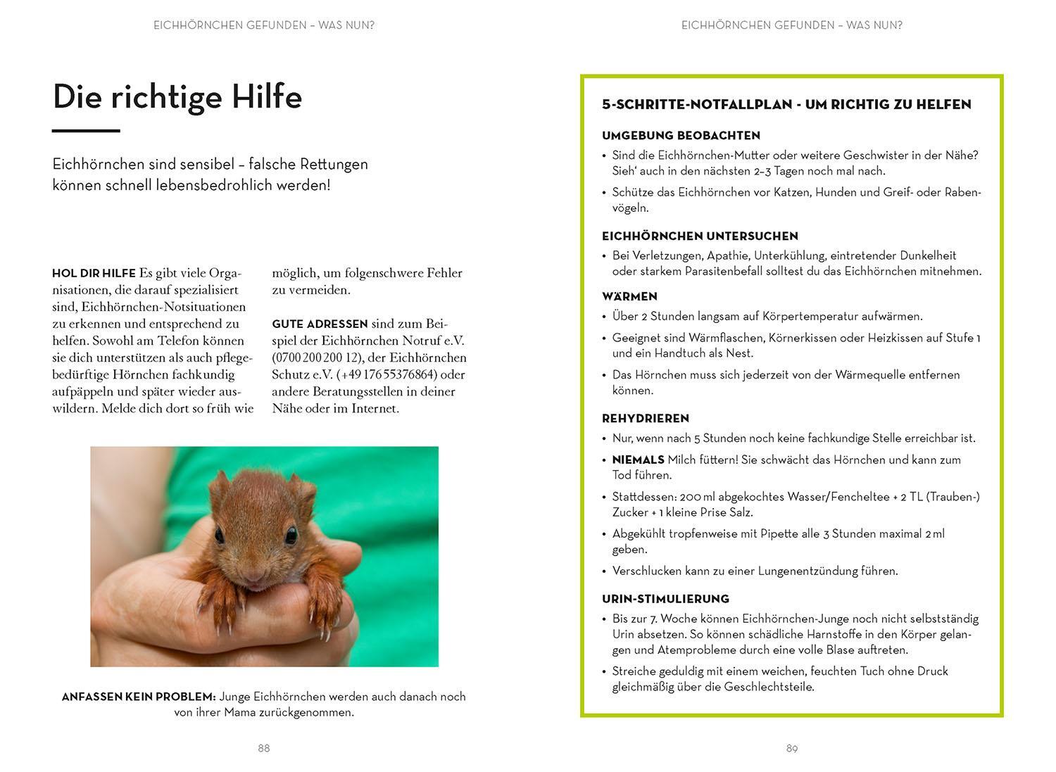 Bild: 9783440174630 | Mach was für Eichhörnchen | Frederike Hecker | Taschenbuch | 96 S.