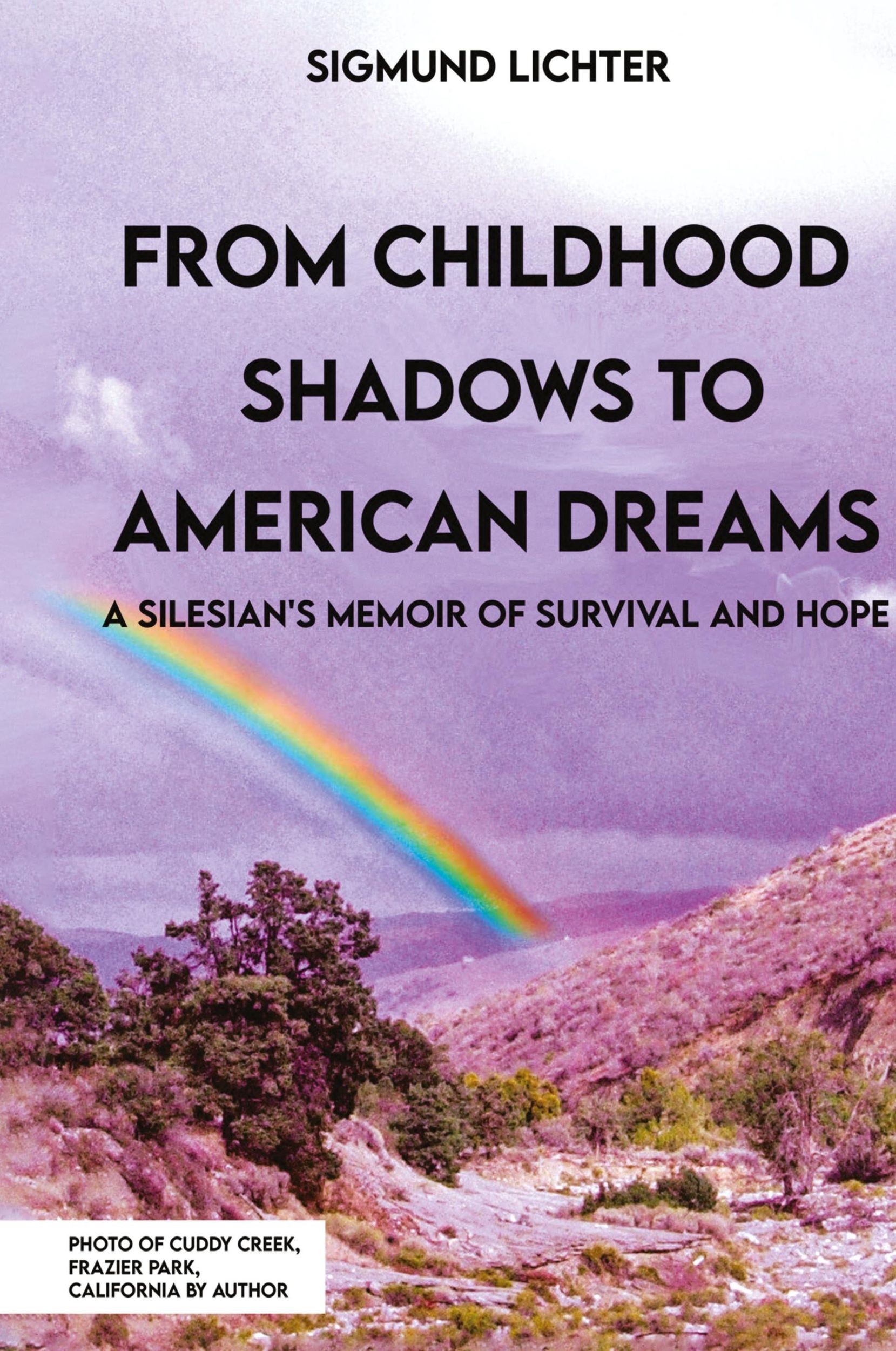 Cover: 9781917116176 | From Childhood Shadows To American Dreams | Sigmund Lichter | Buch