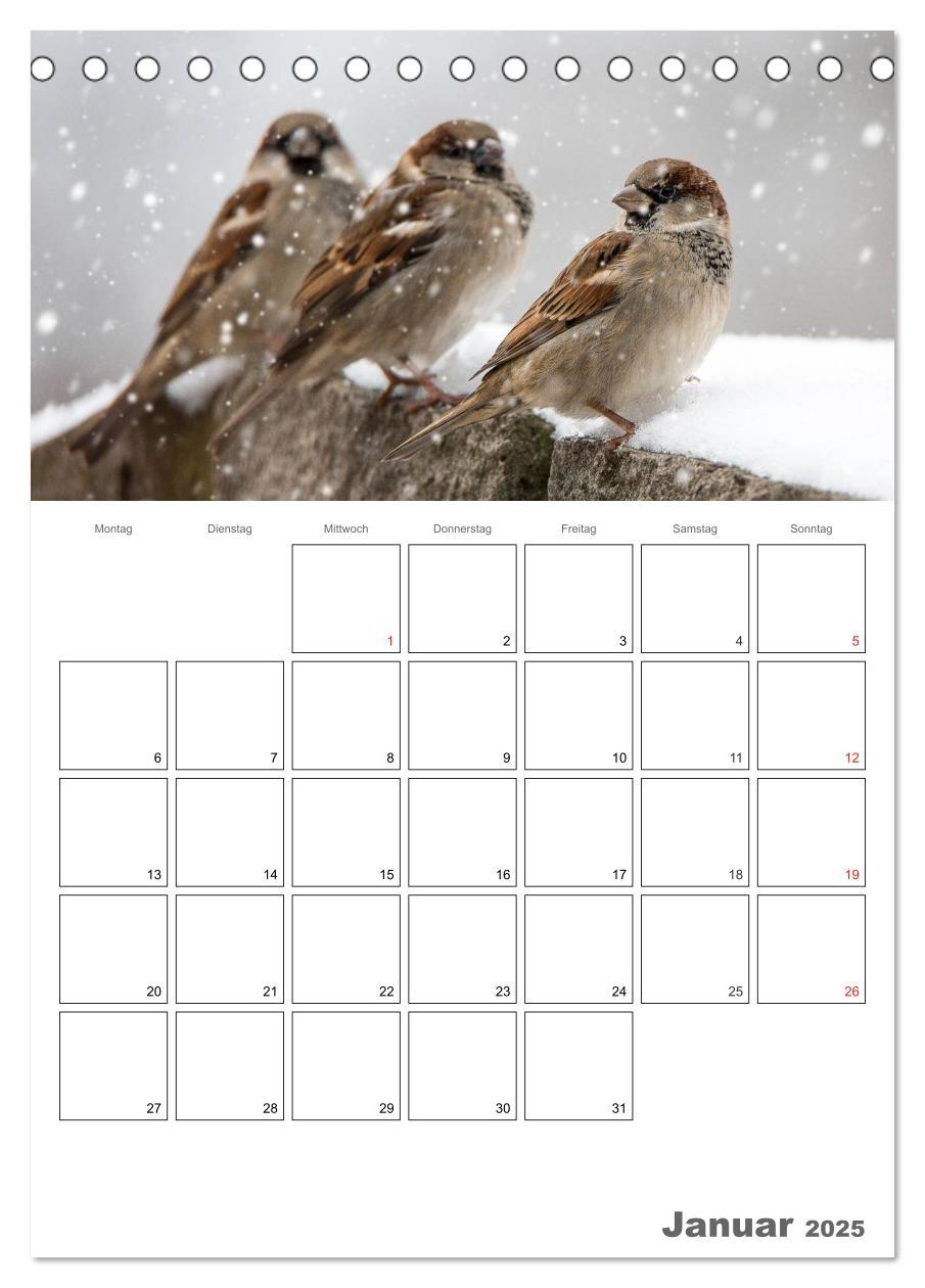 Bild: 9783457007730 | Vögel im heimischen Garten (Tischkalender 2025 DIN A5 hoch),...