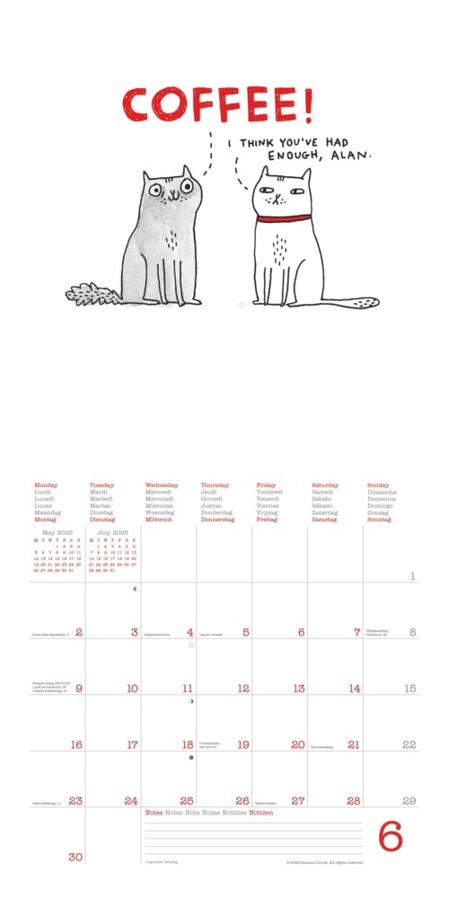 Bild: 4002725987891 | N NEUMANNVERLAGE - A Cat's Life 2025 Broschürenkalender, 30x30cm,...