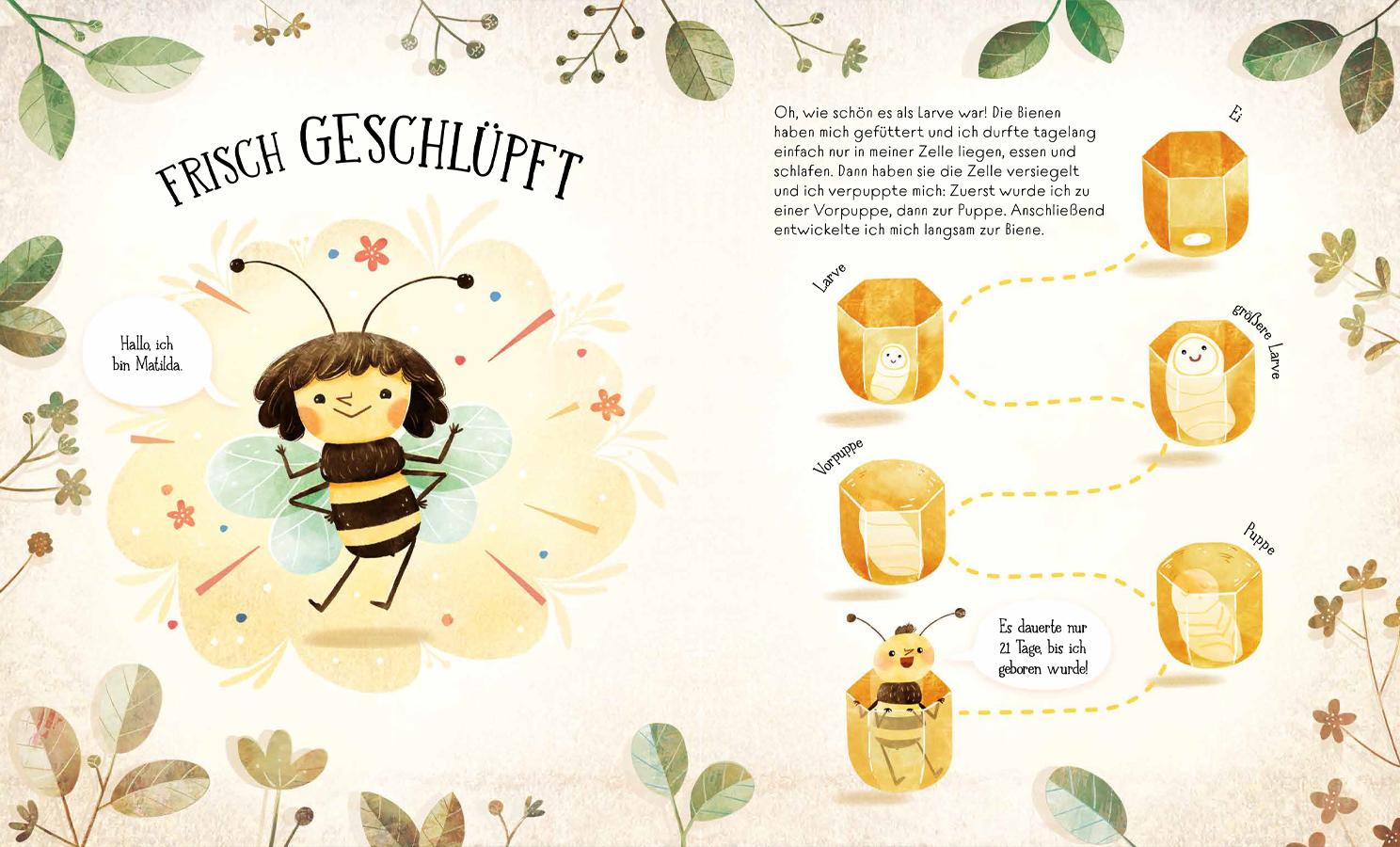 Bild: 9783735853561 | Wie Bienen leben. Matilda erzählt. | Empfohlen ab 6 Jahren | Buch