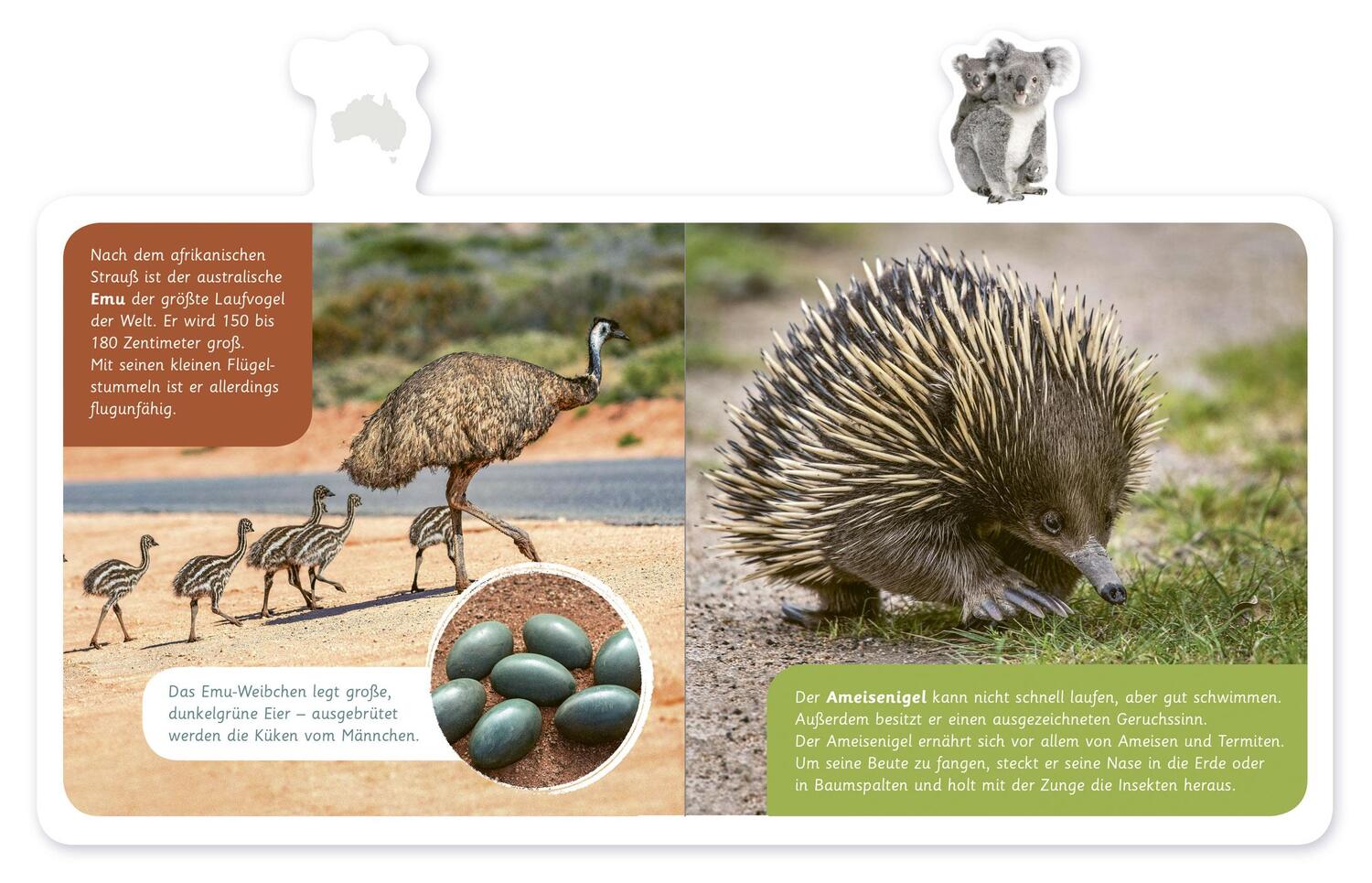 Bild: 9783946360520 | Mein kleines Tier-Lexikon - Tiere in Australien | Buch | Deutsch