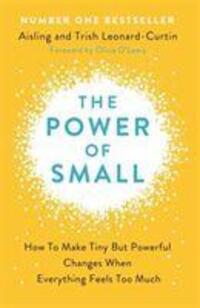 Cover: 9781473666986 | The Power of Small | Aisling Leonard-Curtin (u. a.) | Taschenbuch