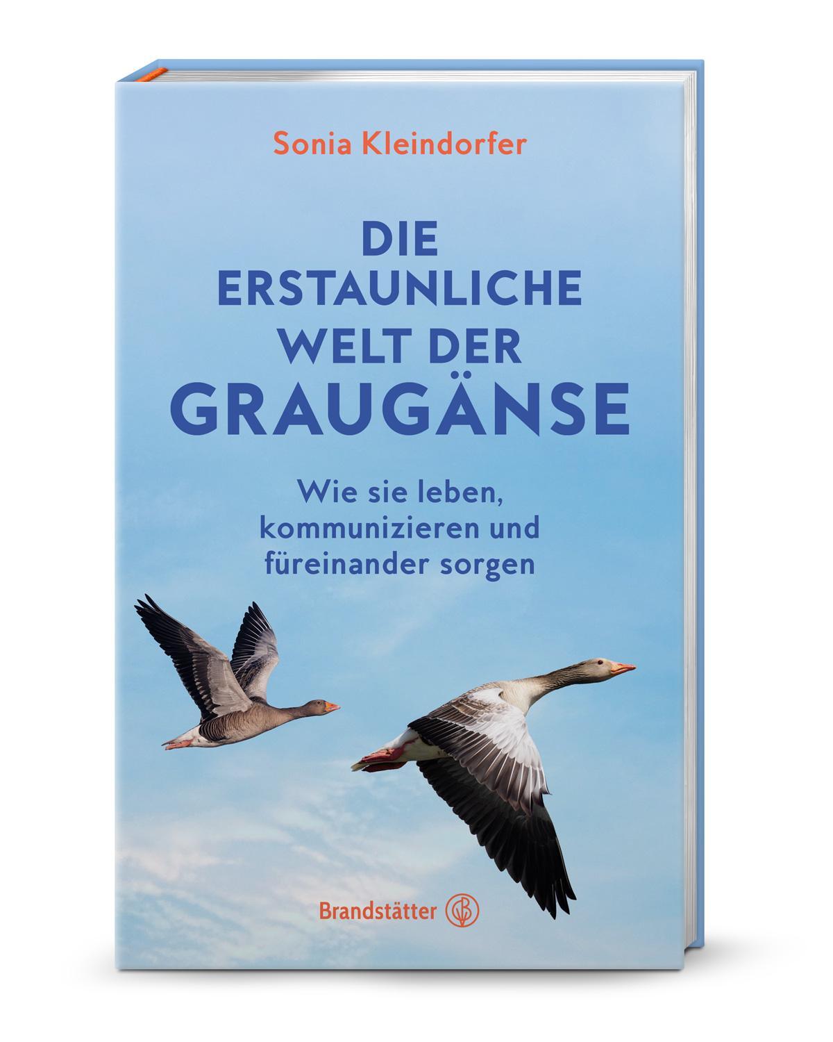 Cover: 9783710607660 | Die erstaunliche Welt der Graugänse | Sonia Kleindorfer | Buch | 2024