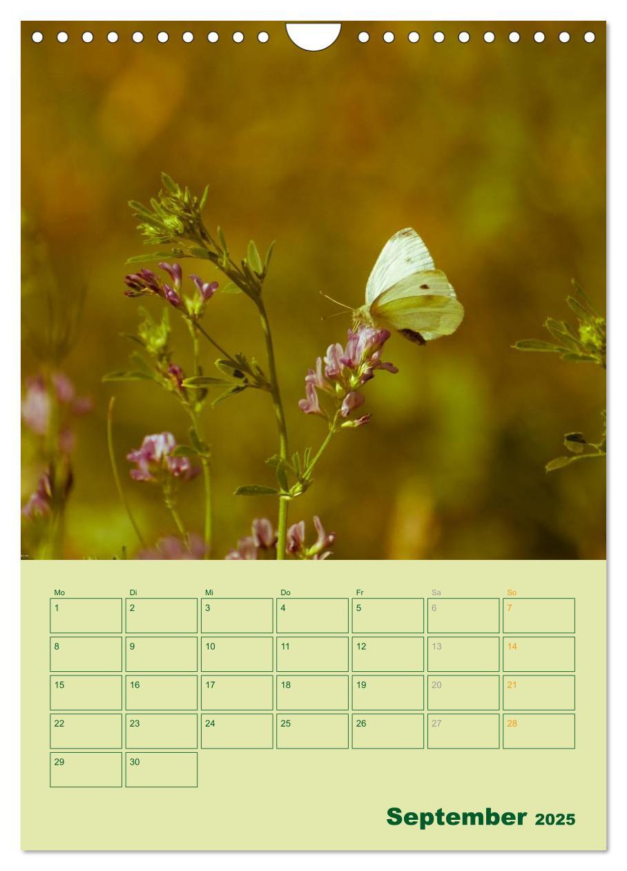 Bild: 9783457055540 | Wald- und Wiesenkalender 2025 Planer (Wandkalender 2025 DIN A4...