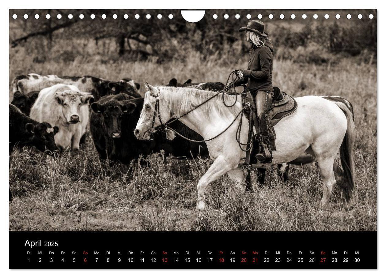 Bild: 9783435570072 | Westernreiten (Wandkalender 2025 DIN A4 quer), CALVENDO Monatskalender