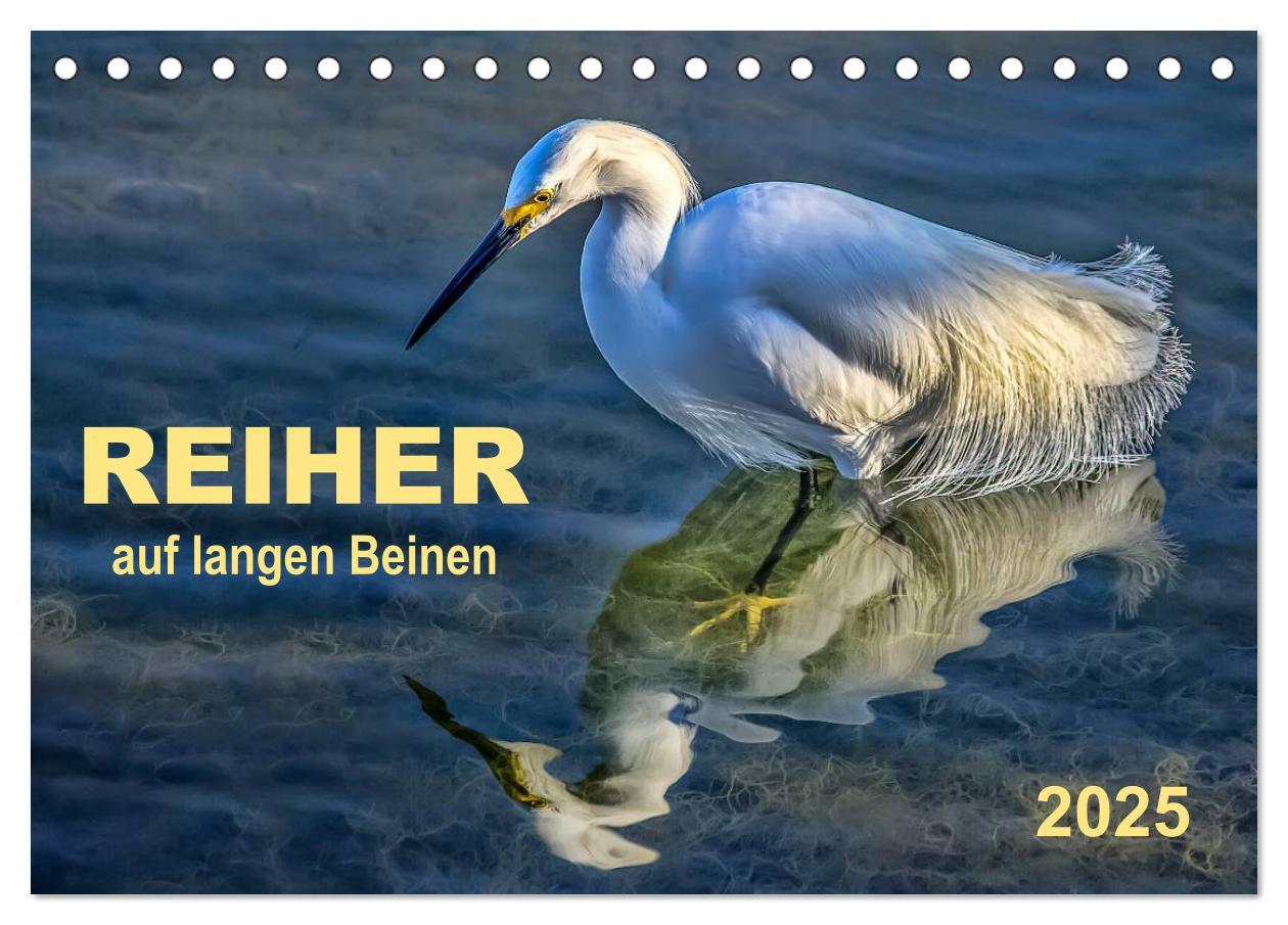 Cover: 9783435592494 | Reiher - auf langen Beinen (Tischkalender 2025 DIN A5 quer),...