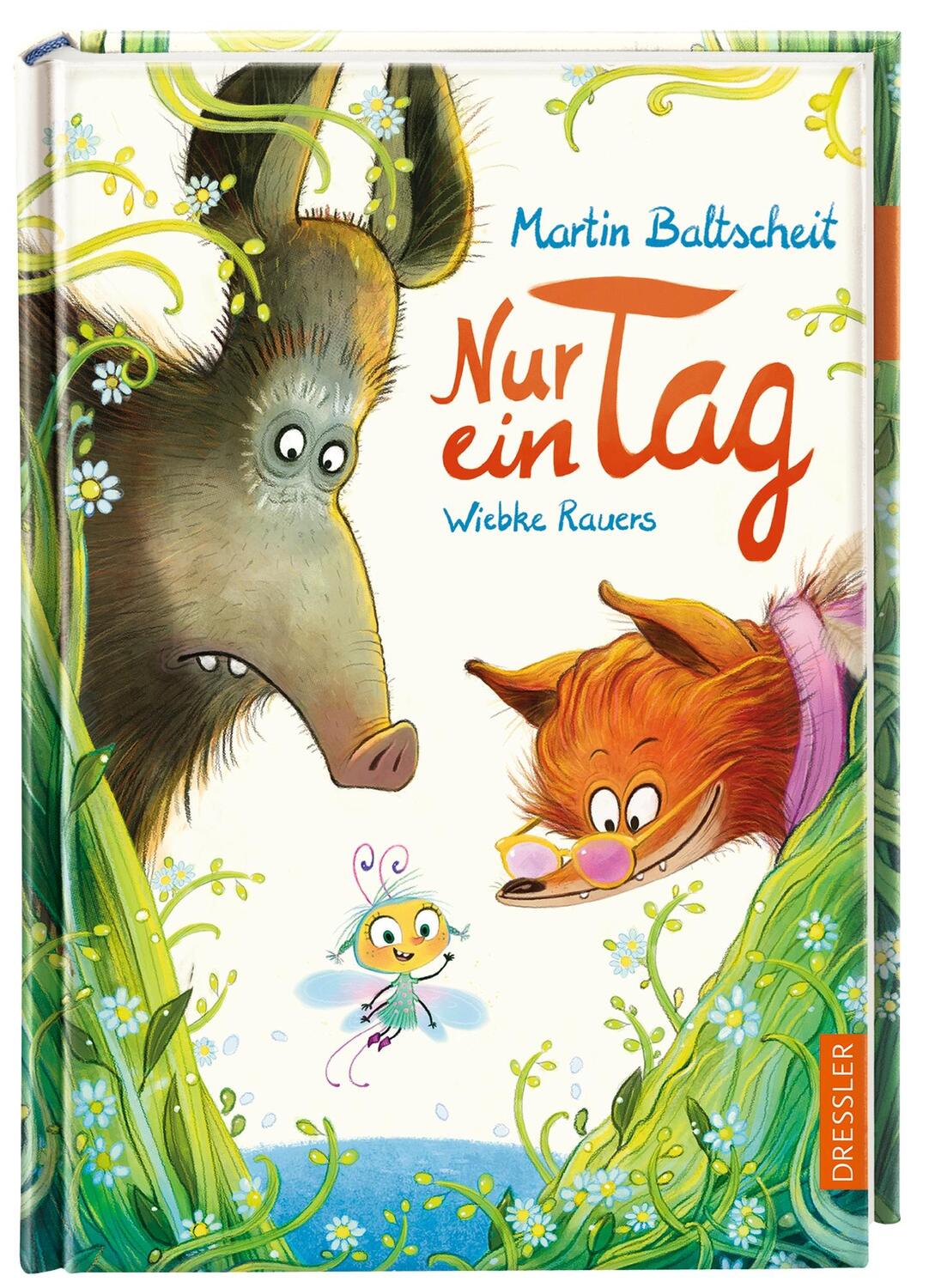 Bild: 9783791527024 | Nur ein Tag | Martin Baltscheit | Buch | Dressler | 110 S. | Deutsch