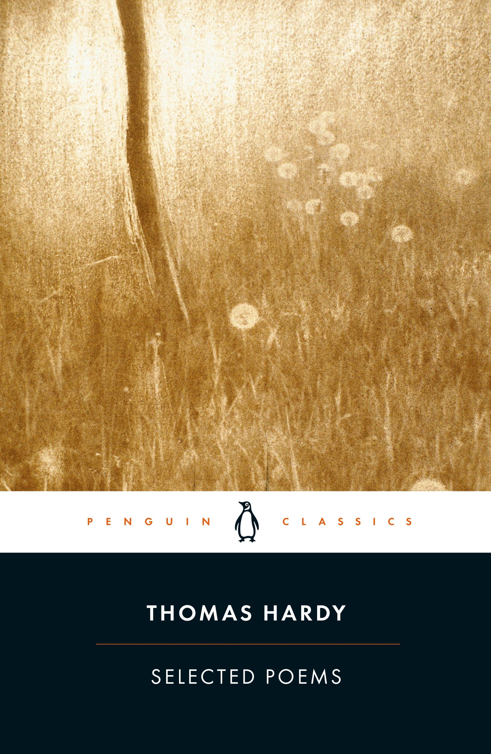 Cover: 9780140433418 | Selected Poems | Thomas Hardy | Taschenbuch | Englisch | 1993