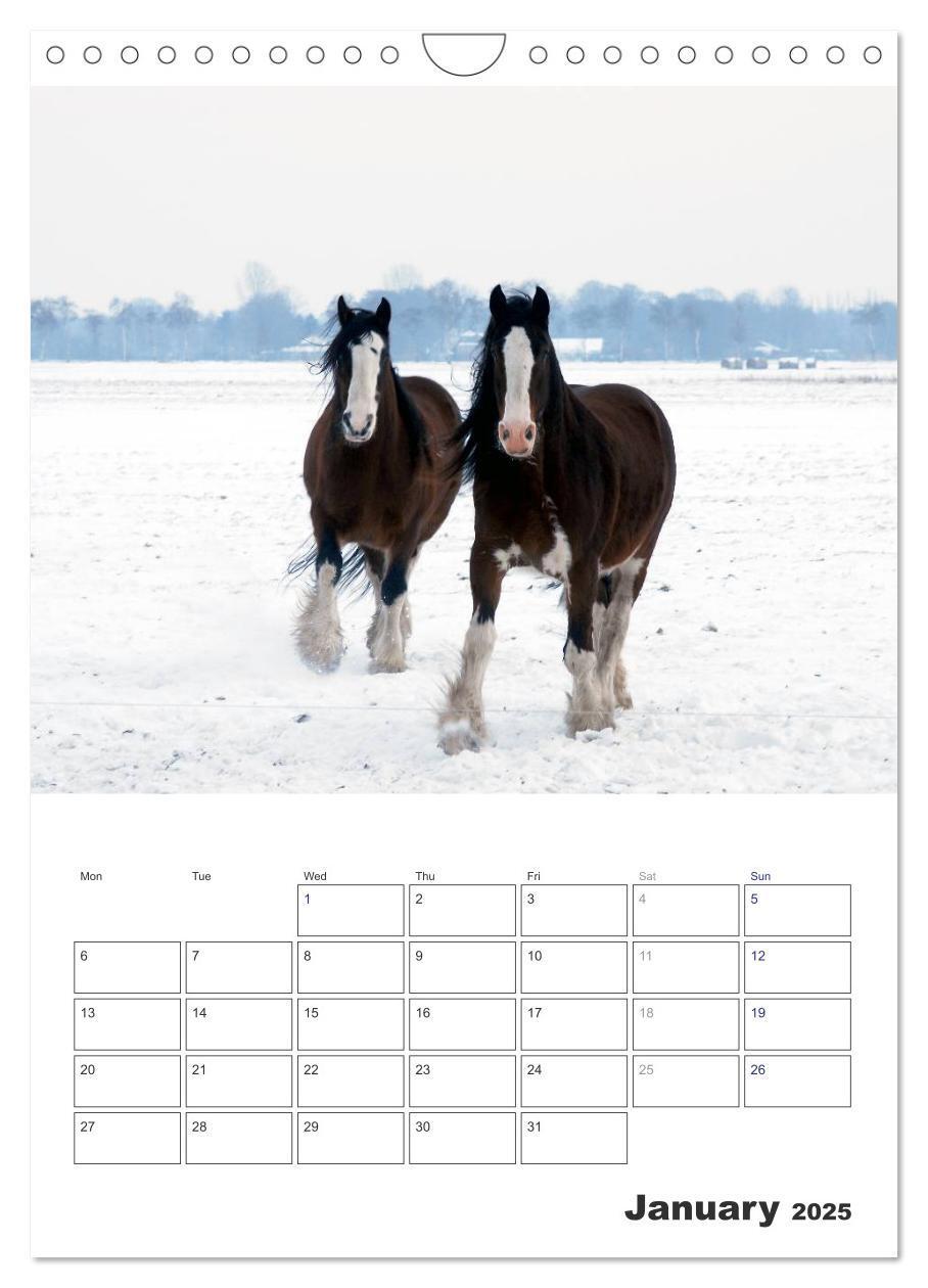 Bild: 9781325973057 | Shire Horses The Gentle Giants (Wall Calendar 2025 DIN A4...