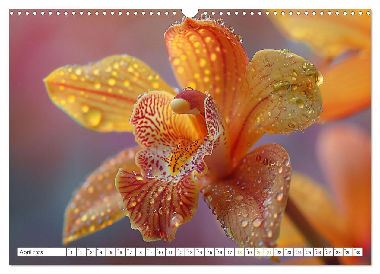 Bild: 9783457165126 | Orchideen - farbenfroh durchs Jahr (Wandkalender 2025 DIN A3 quer),...