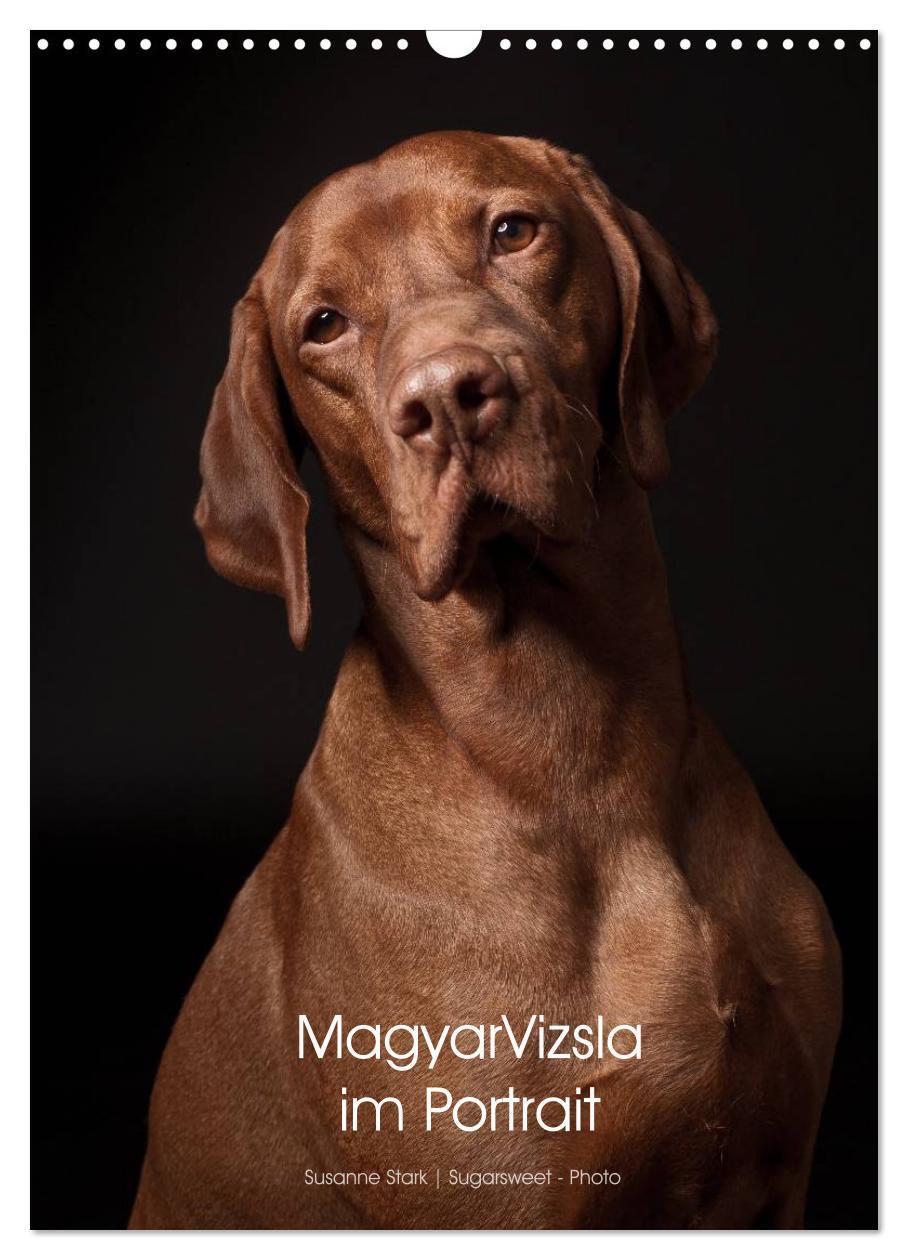 Cover: 9783457015742 | Magyar Vizsla im Portrait (Wandkalender 2025 DIN A3 hoch), CALVENDO...