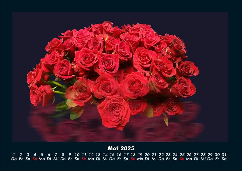 Bild: 9783755970637 | Rosen-Kalender 2025 Fotokalender DIN A4 | Tobias Becker | Kalender