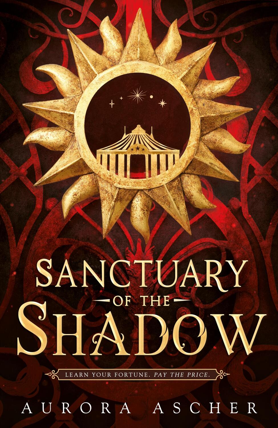 Cover: 9780857506290 | Sanctuary of the Shadow | Aurora Ascher | Buch | Elemental Emergence
