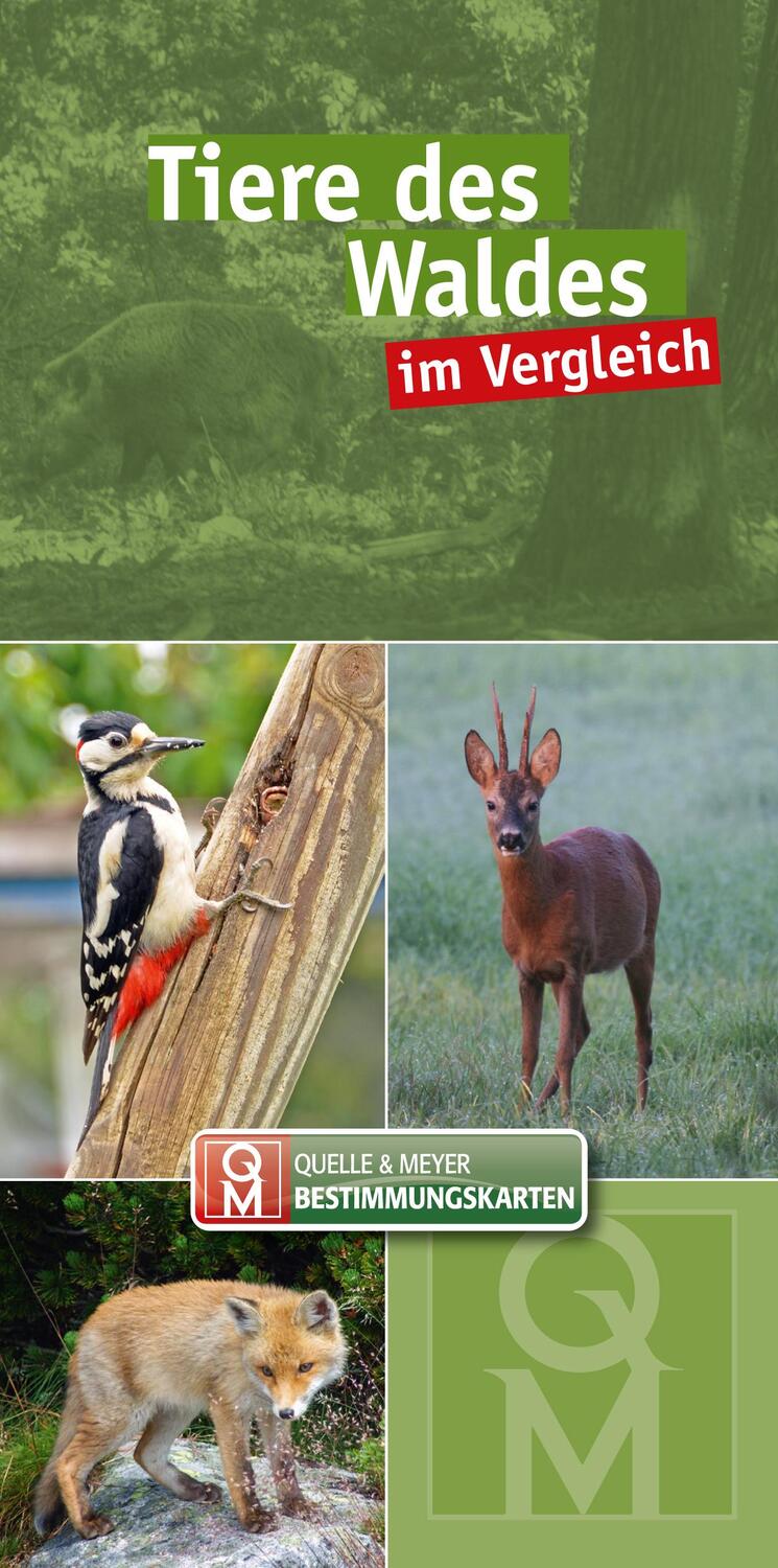Cover: 9783494018645 | Tiere des Waldes | im Vergleich | Quelle & Meyer Verlag | Stück | 2021