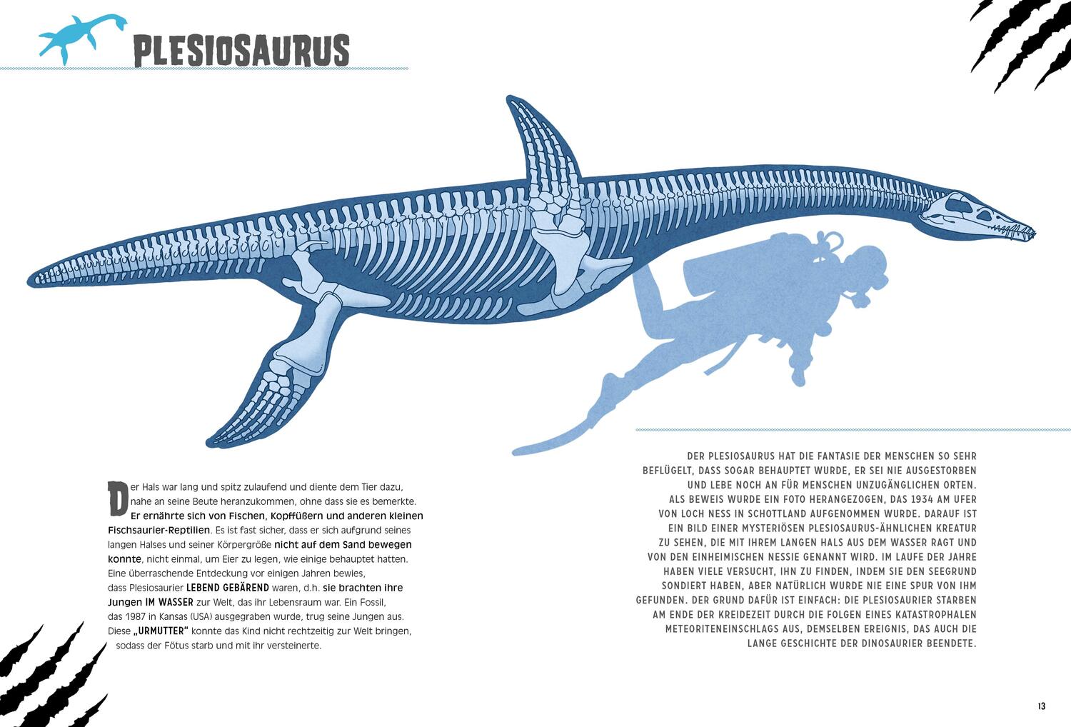Bild: 9788863125993 | Wasserreptilien des Dinosaurierzeitalters | Giuseppe Brillante | Buch