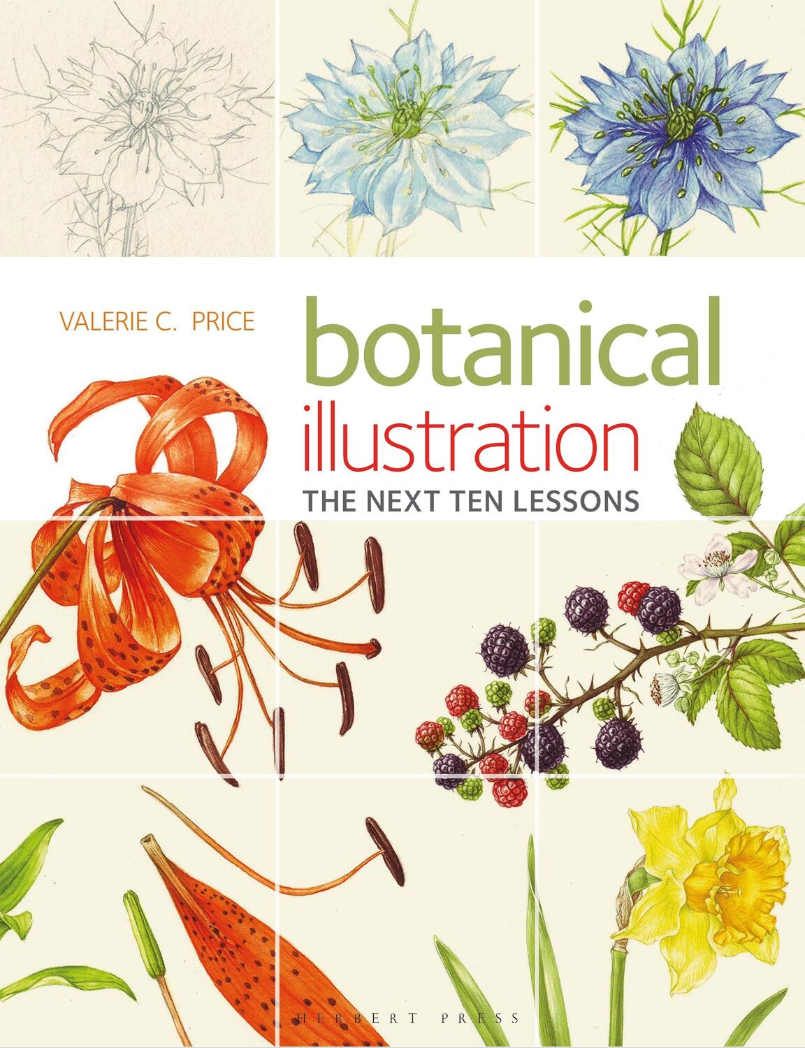 Cover: 9781912217731 | Botanical Illustration | The Next Ten Lessons: Colour and Composition