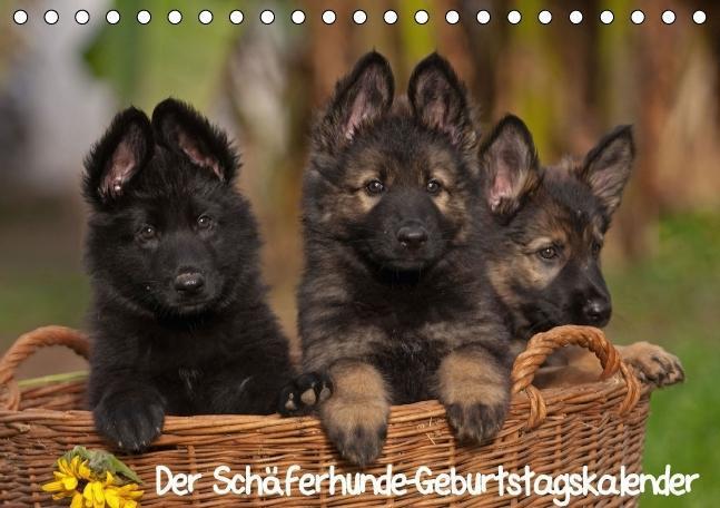 Cover: 9783660367836 | Der Schäferhunde-Geburtstagskalender (Tischkalender immerwährend...